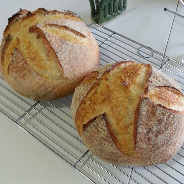The latest loaves | The Fresh Loaf