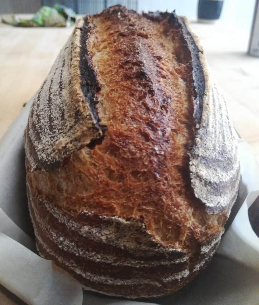 55 Hydration, Sourdough, 47/53 Hard Red WW/HEB Bread Flour The Fresh