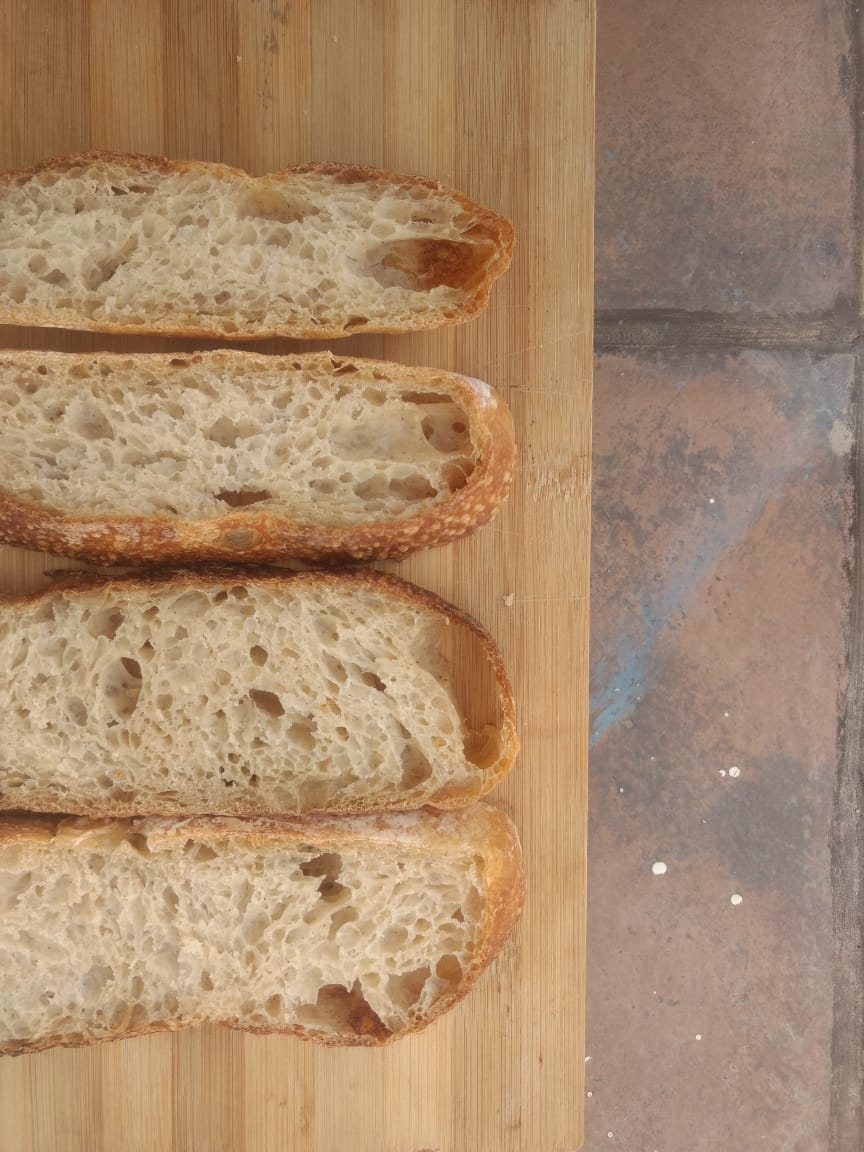 Sourdough not rising while baking The Fresh Loaf