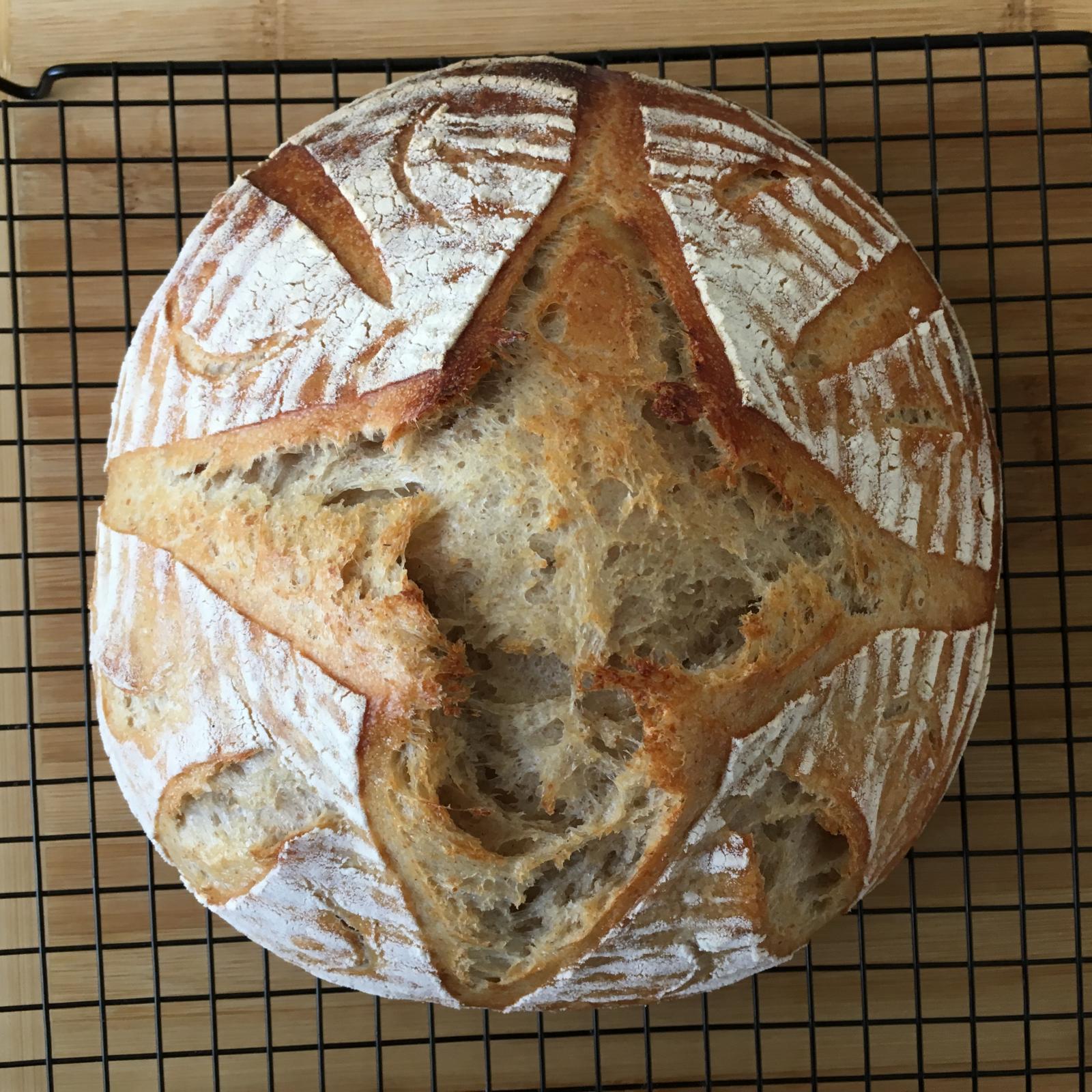 Flour+Salt+Water The Fresh Loaf
