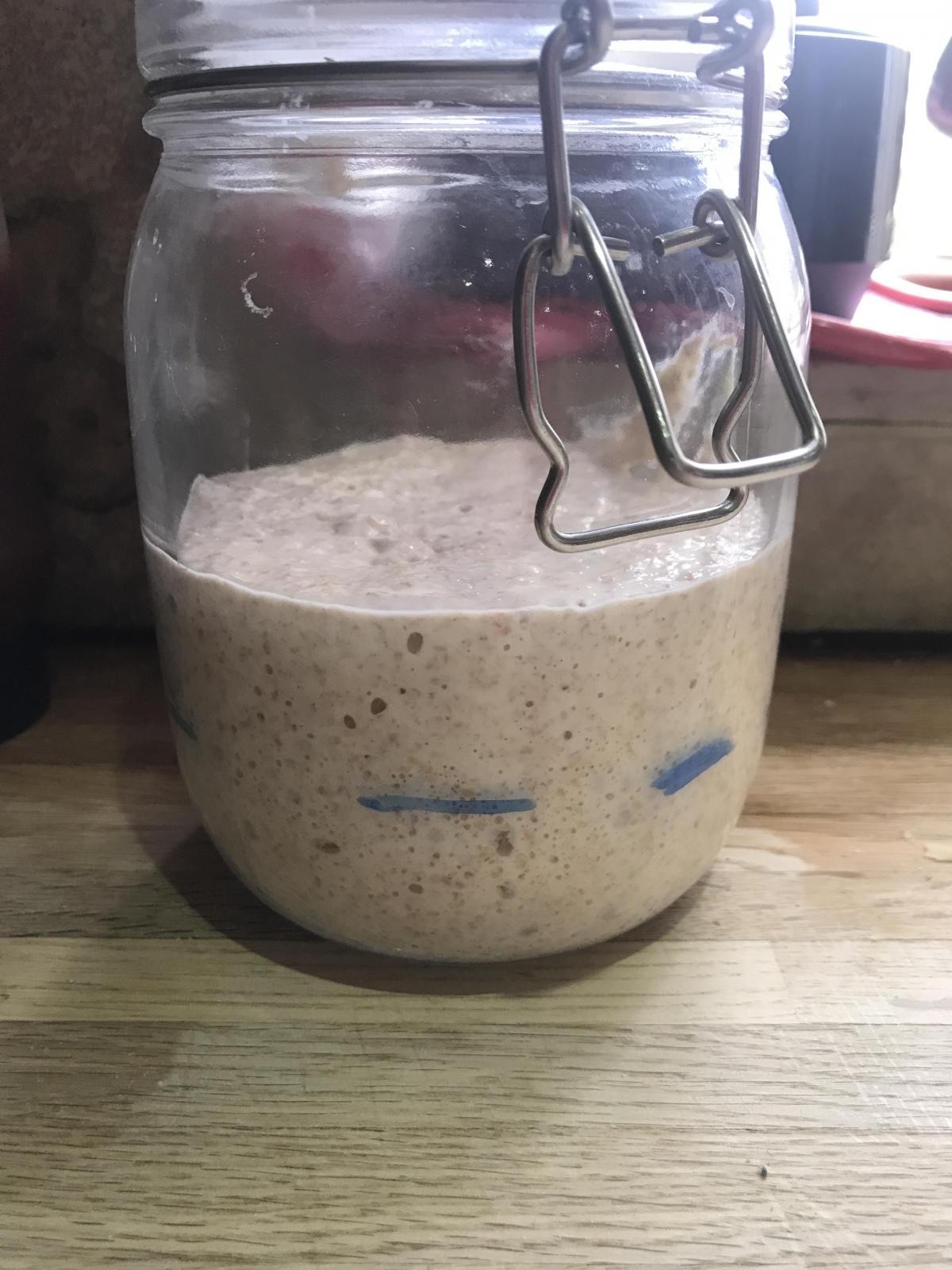 Starter failing the float test | The Fresh Loaf
