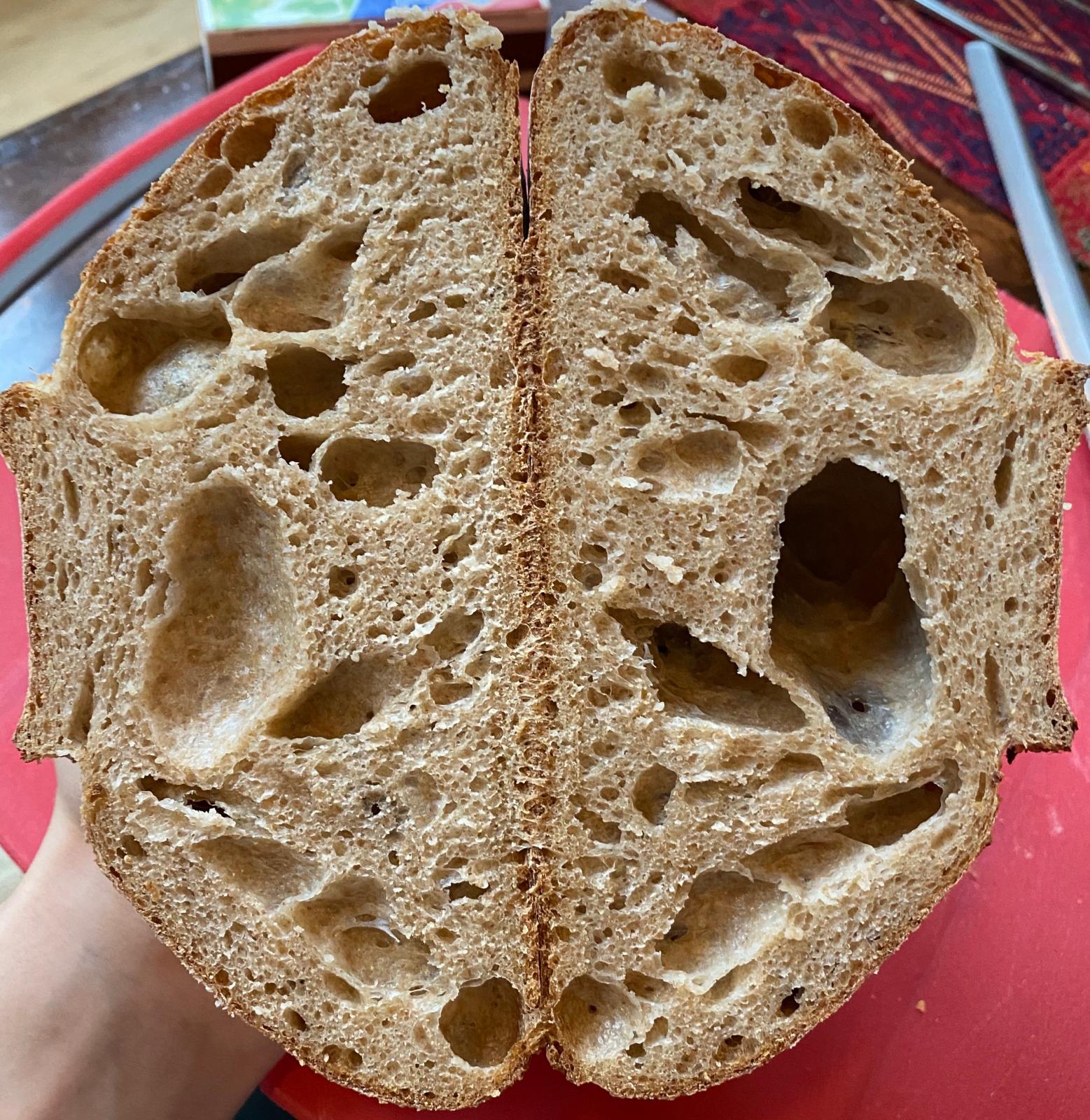 How to eliminate extremely large air bubbles at the top of sourdough? The Fresh Loaf