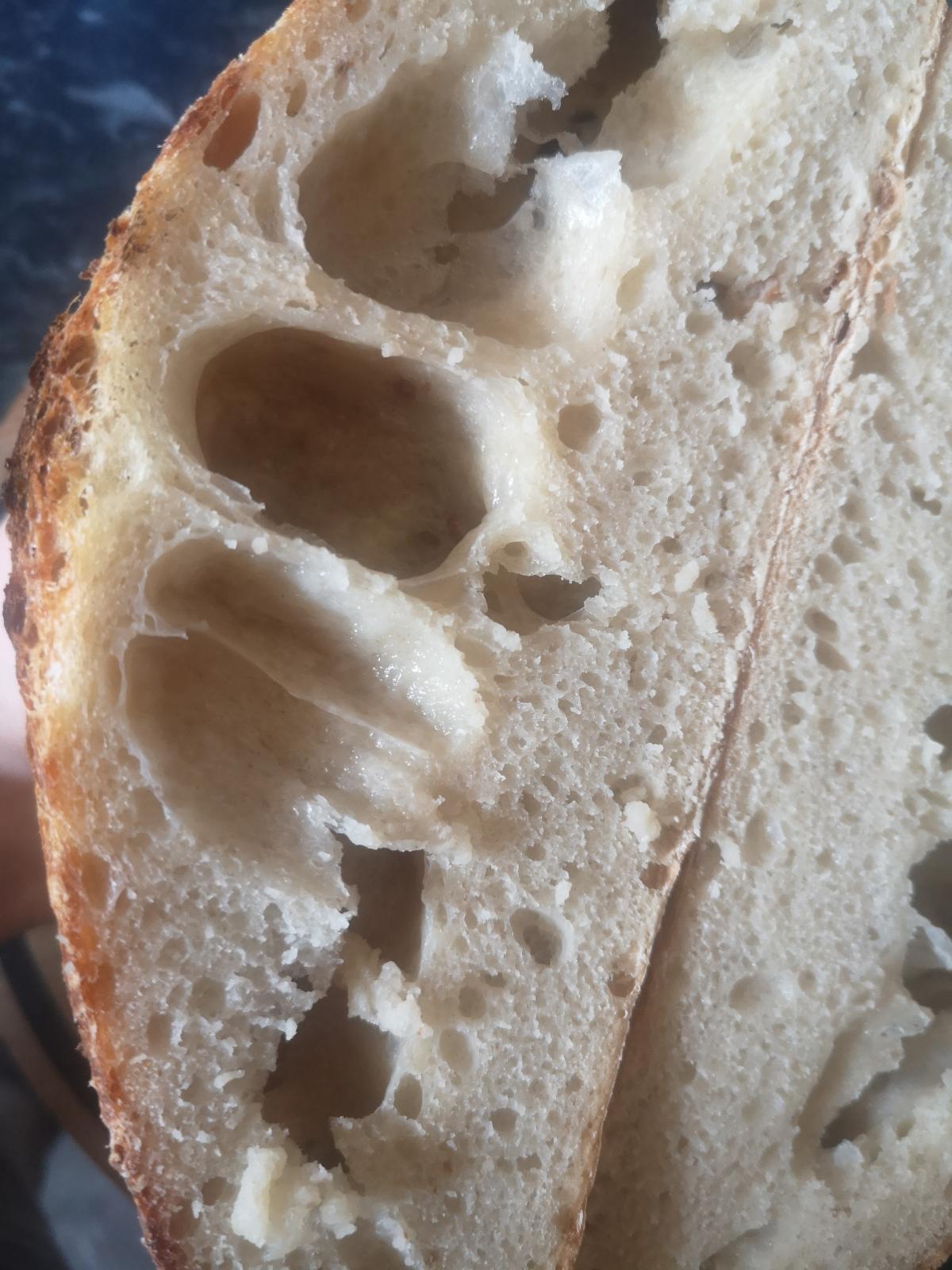 Gummy Fools Crumb The Fresh Loaf