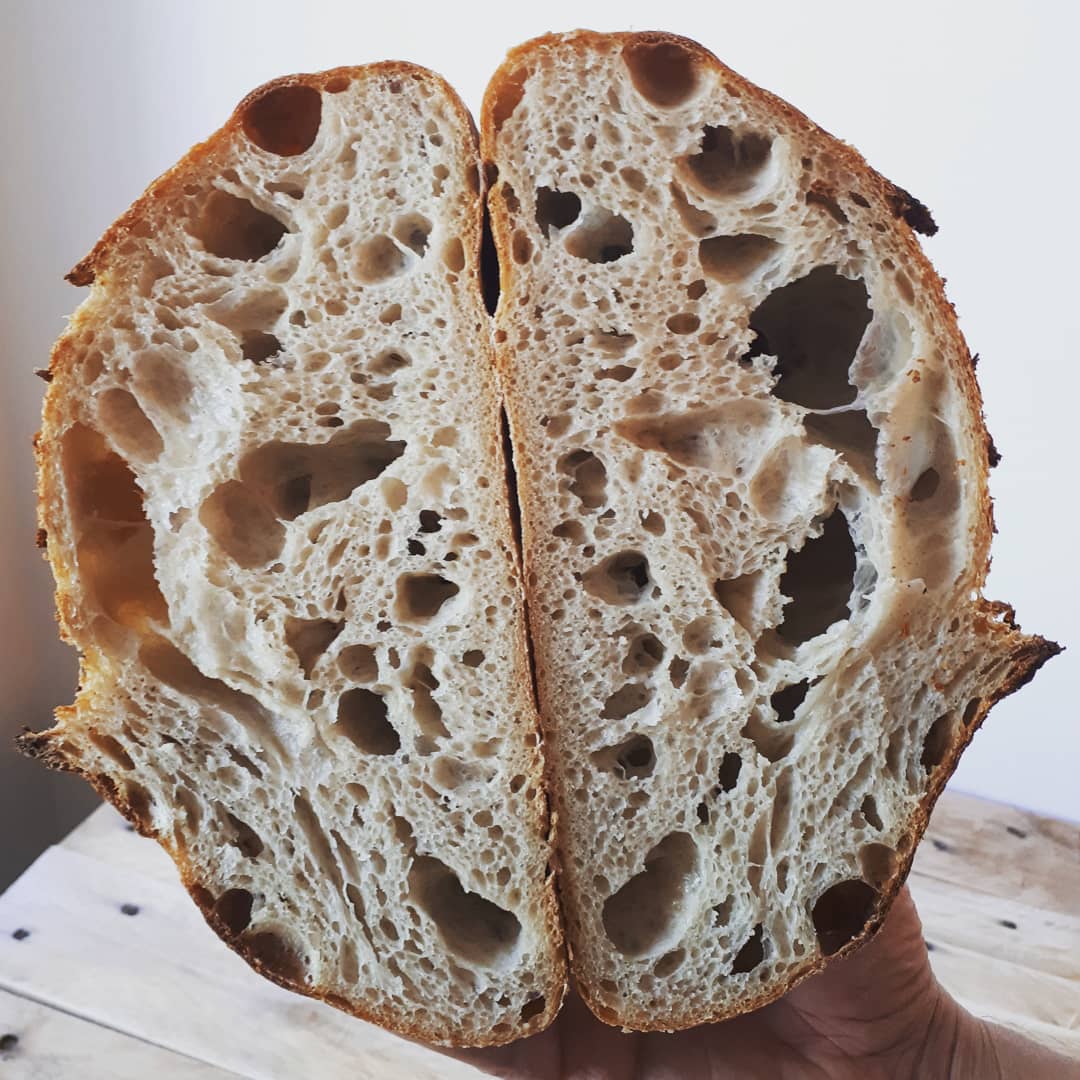 Underfermented fools crumb? The Fresh Loaf