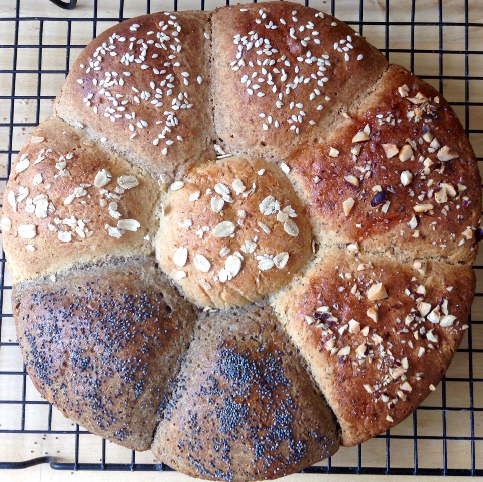 America S Test Kitchen Gluten Free Sourdough Bread America S Test Kitchen Gluten Free Sourdough Bread