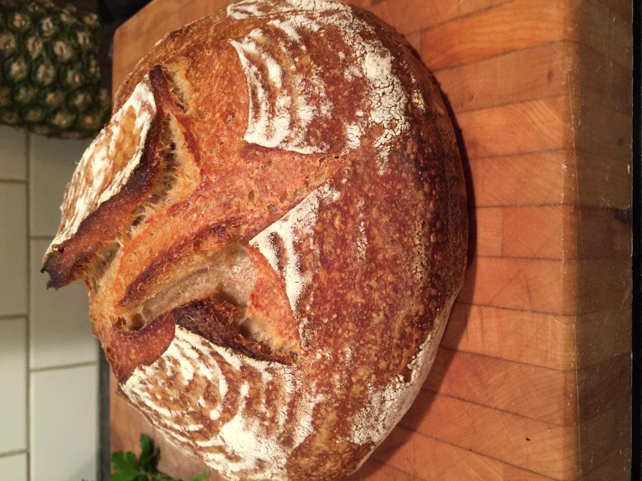 Bulk Fermentation Cold Storage experiment The Fresh Loaf