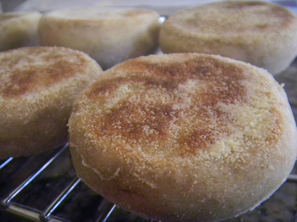 Yeast Water 70 Whole Grain English Muffins The Fresh Loaf