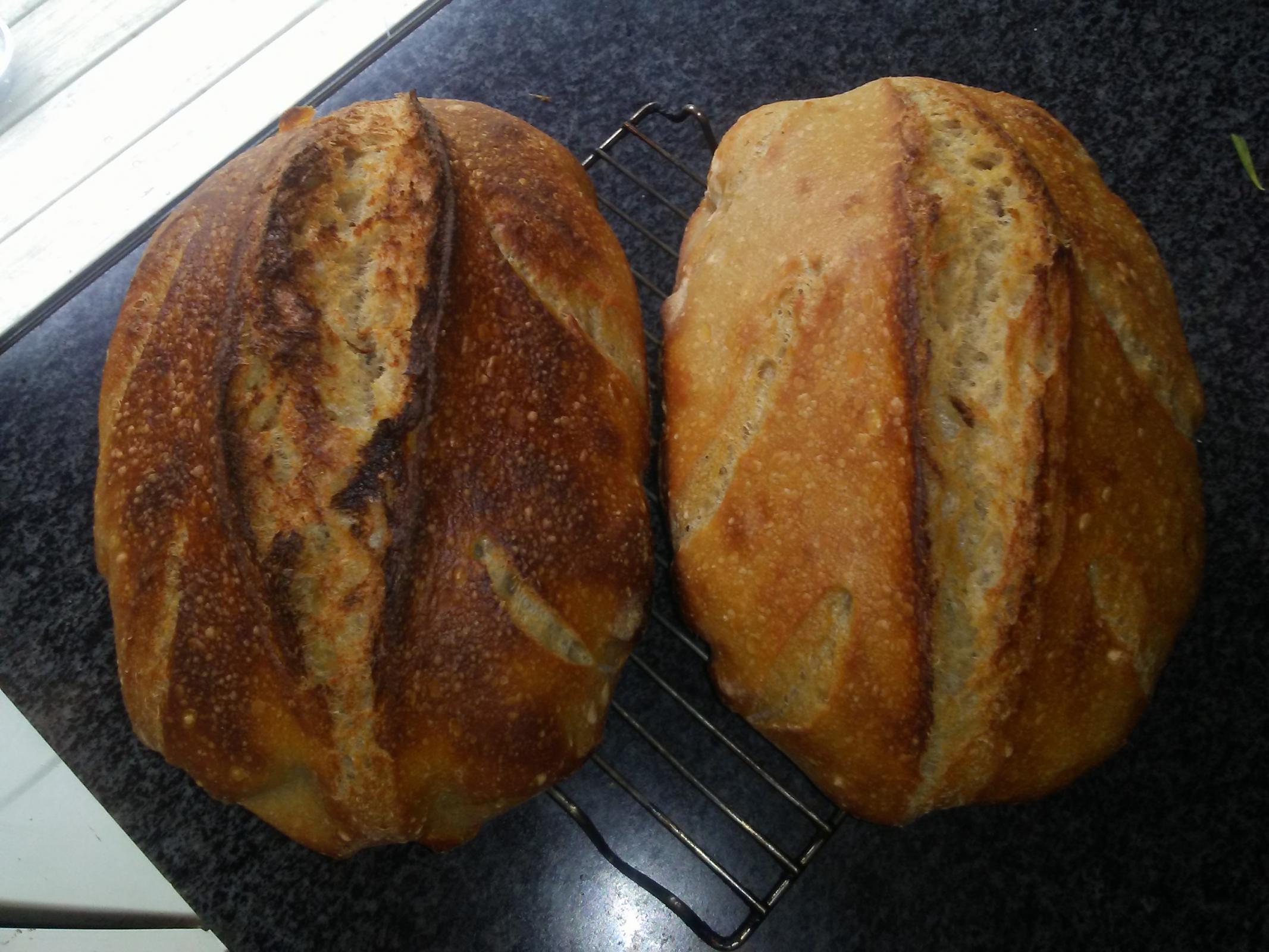 Stand mixer sourdough The Fresh Loaf