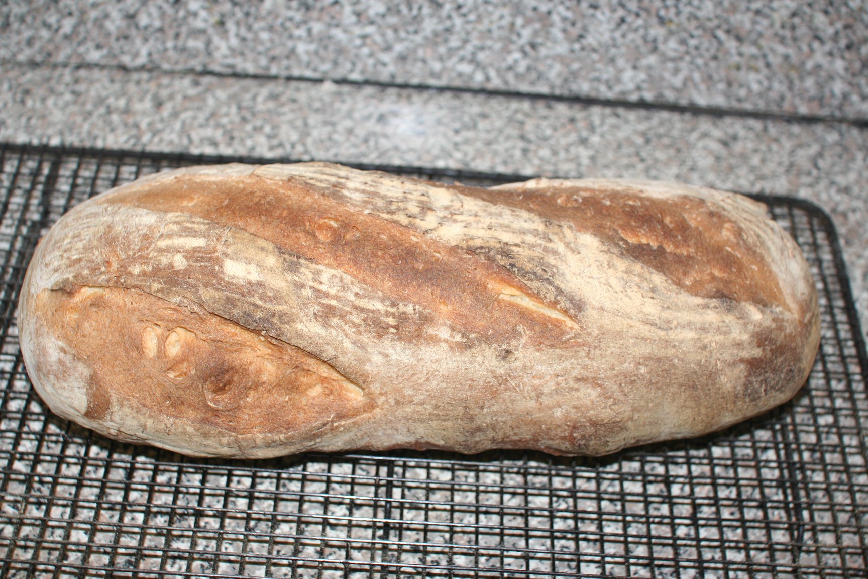 Naturally leavened white Maltese bread. The Will Falzon method The