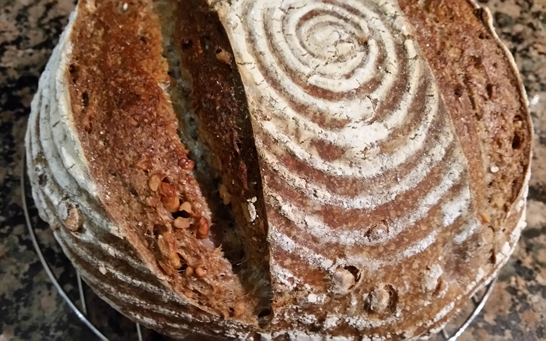 Vitamix hong kong buy, food processor wholemeal bread recipe 9x13