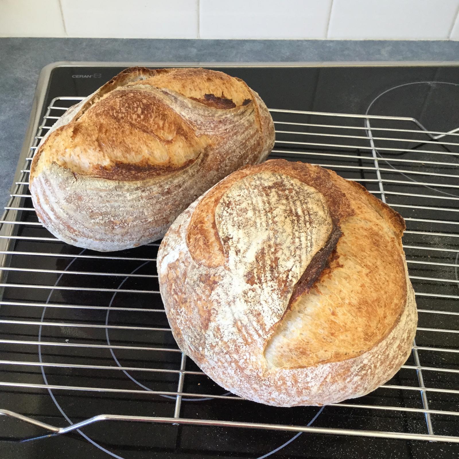 Potato water sourdough with sprouted wholewheat The Fresh Loaf
