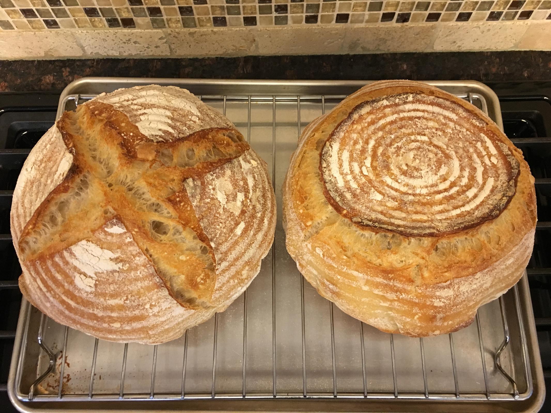 Does The Dollar Tree Have Flour at Guy Haynes blog