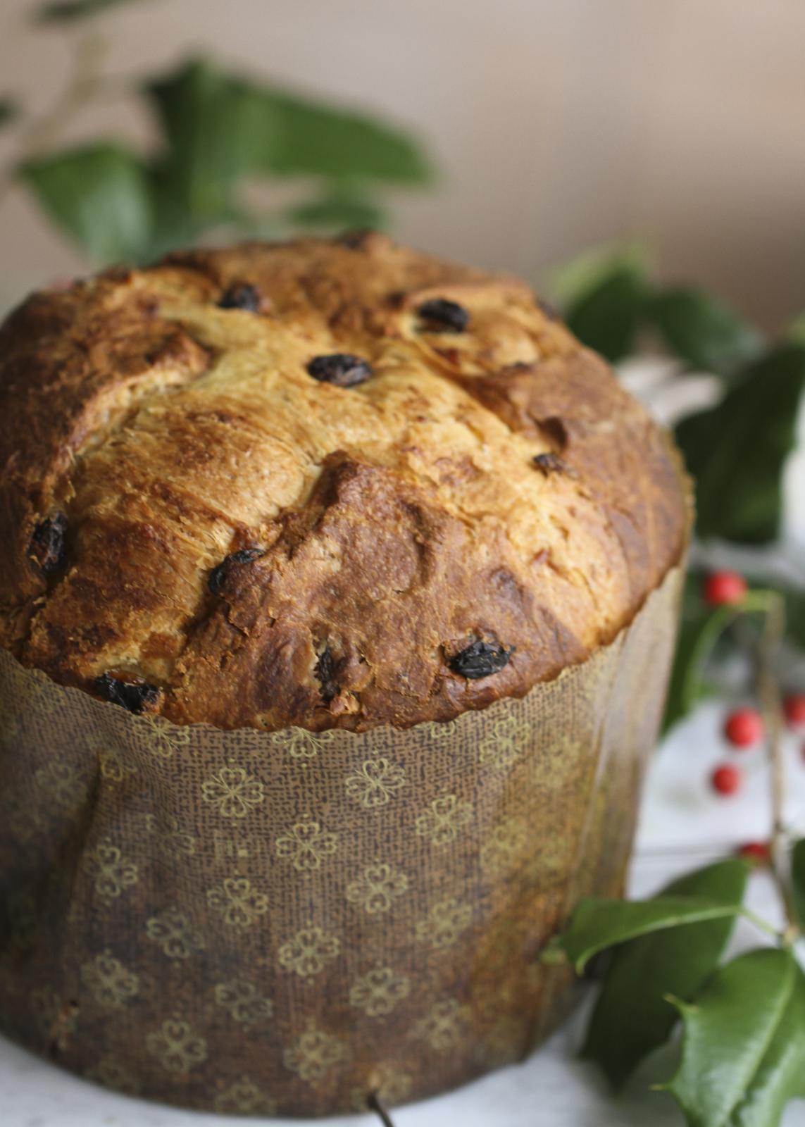 A Challenging Panettone | The Fresh Loaf