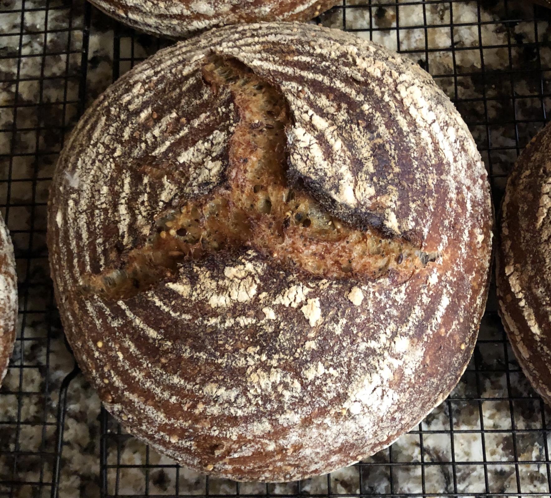 For the Birds Sourdough The Fresh Loaf