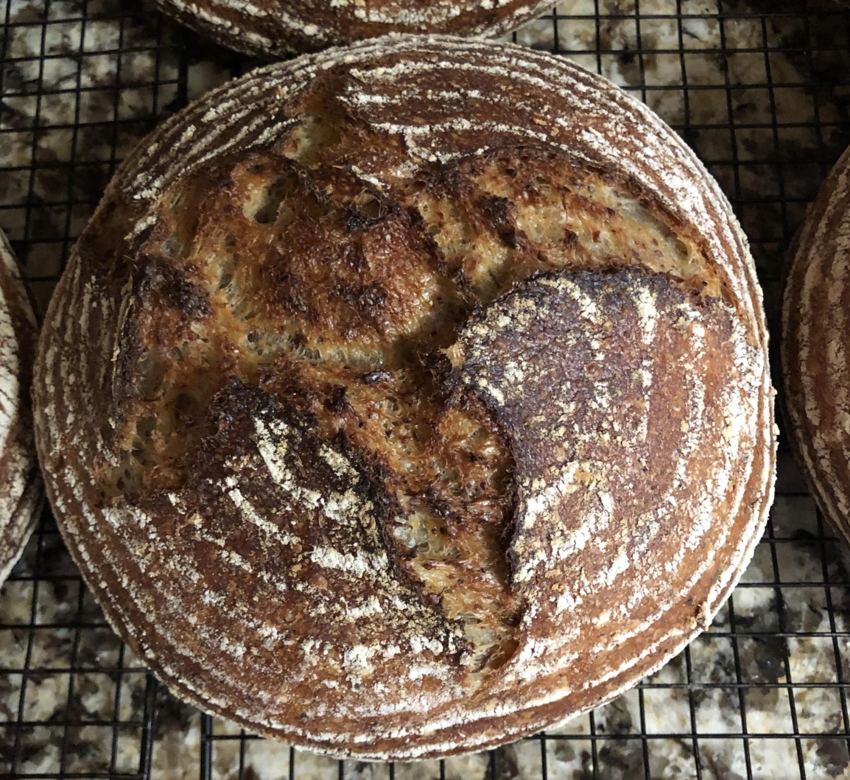 Sprouted Quinoa Kamut Sourdough The Fresh Loaf