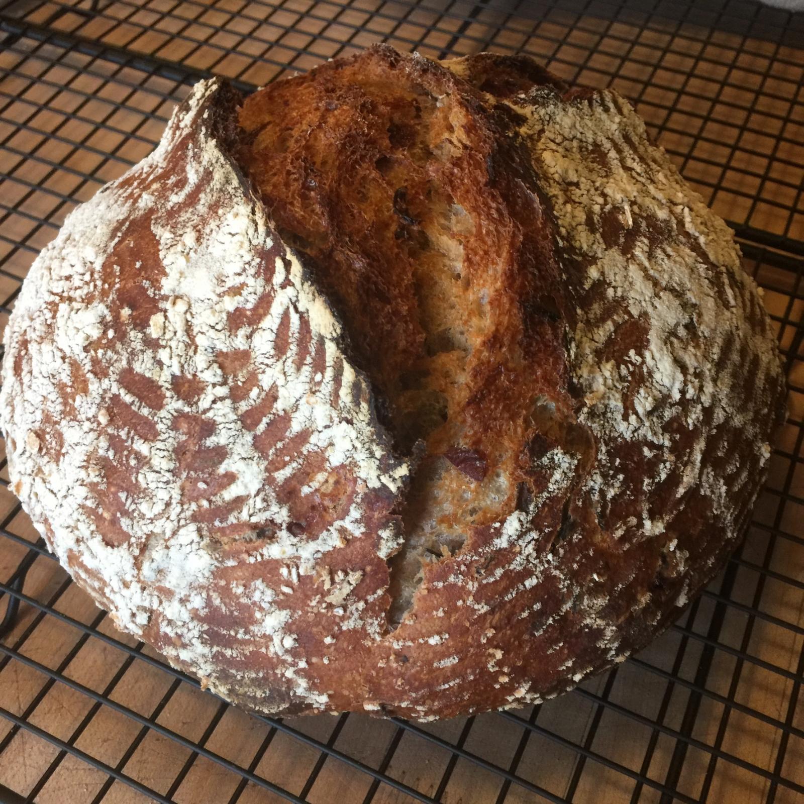 Cranberry Wild Rice Sourdough with a touch of Tarragon The Fresh Loaf