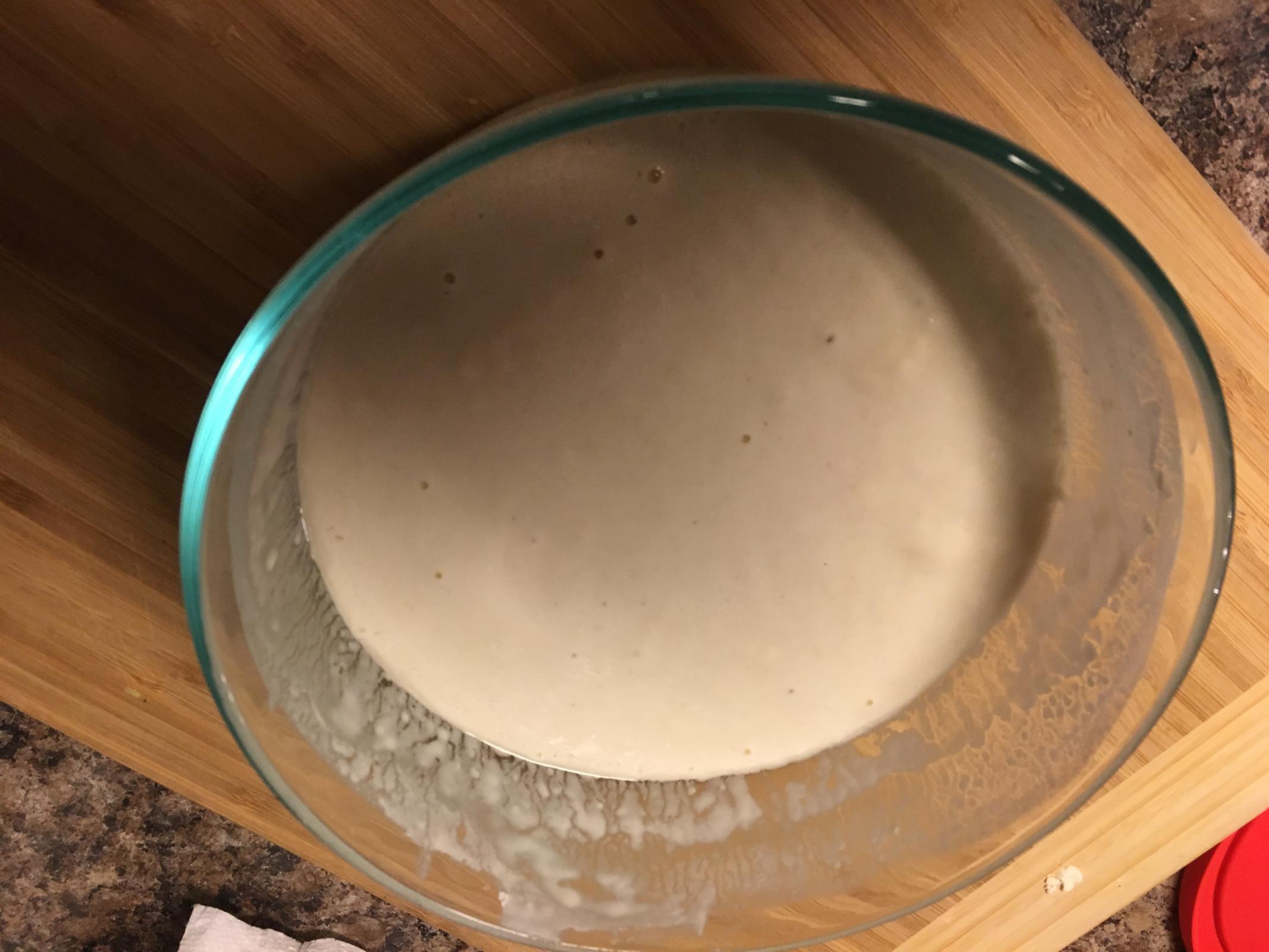 Please help! Is my starter dead?? The Fresh Loaf