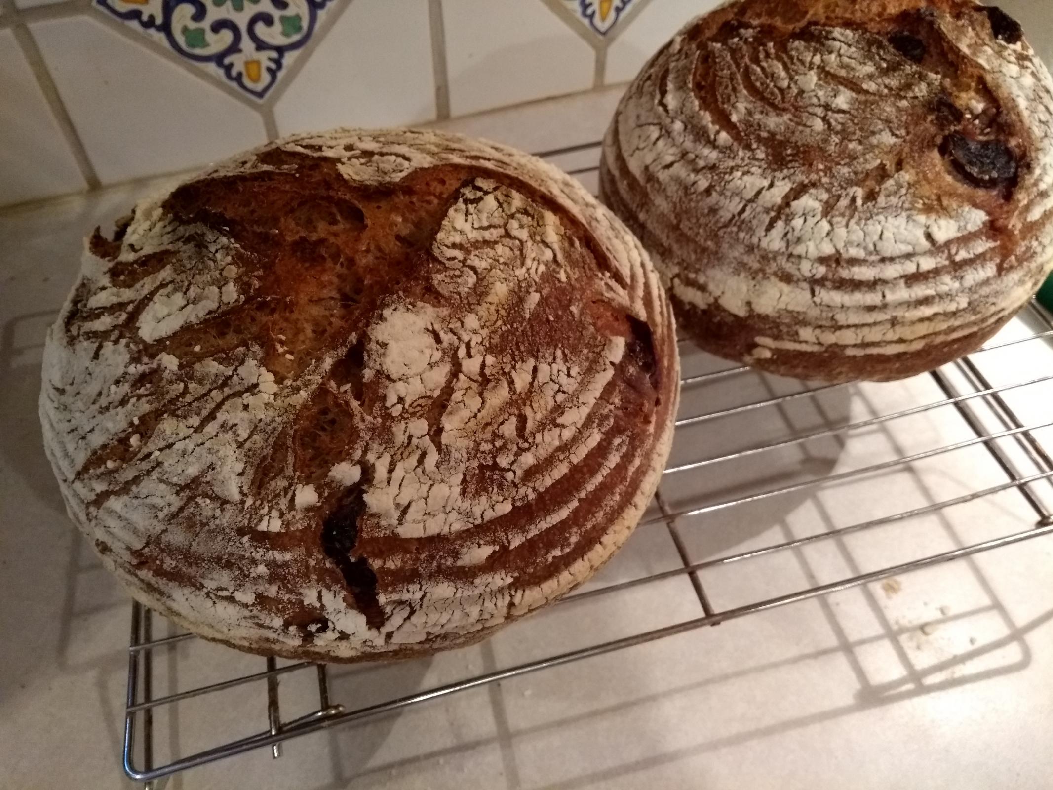 Black Forest Bread The Fresh Loaf