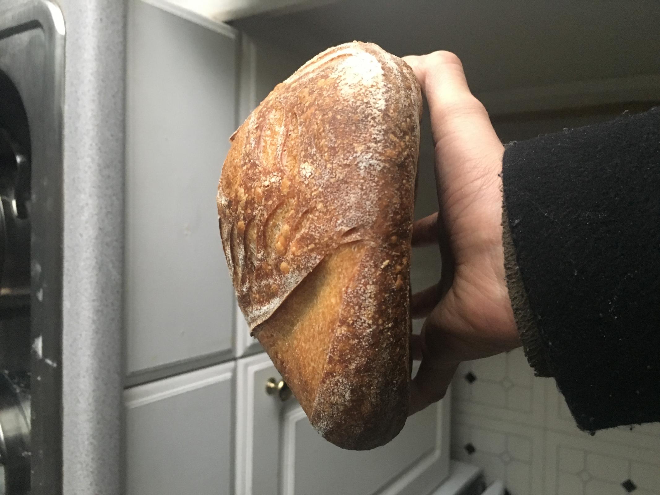 Help!! Consistently bad sourdough maybe caused by starter? The Fresh Loaf