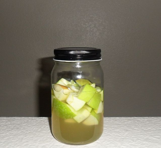 Natural fermentation starter The Fresh Loaf