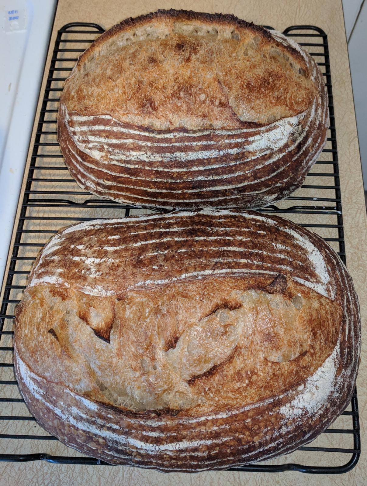 Ear troubleshooting (and dough sticking to The Fresh Loaf