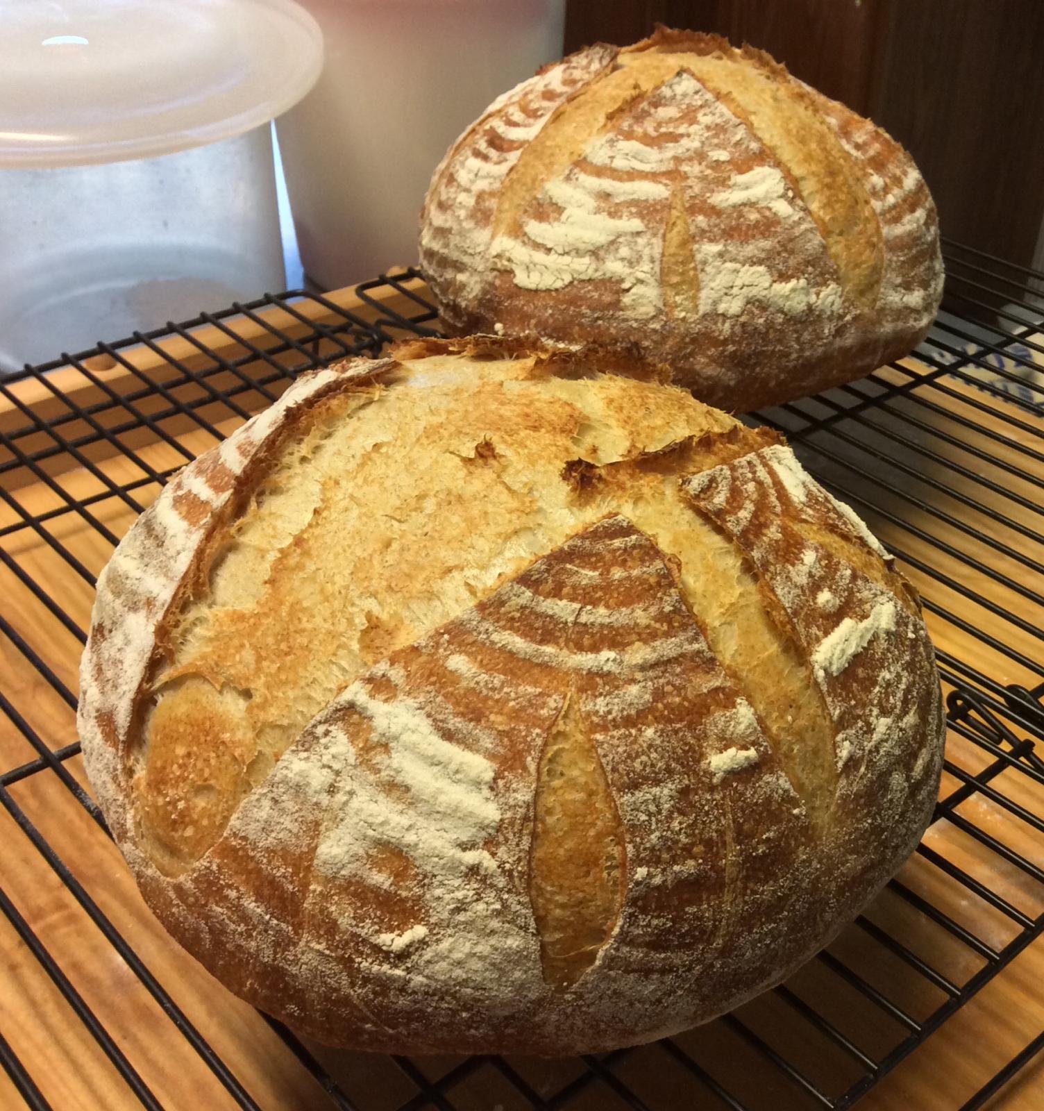 Sourdough storage The Fresh Loaf