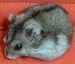 leostrog's picture leostrog's picture