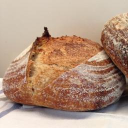 Boulanger D'anvers's picture Boulanger D'anvers's picture