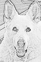 Moots's picture Moots's picture