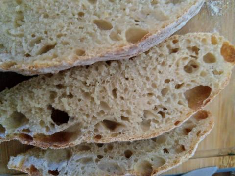 Ciabatta crumb