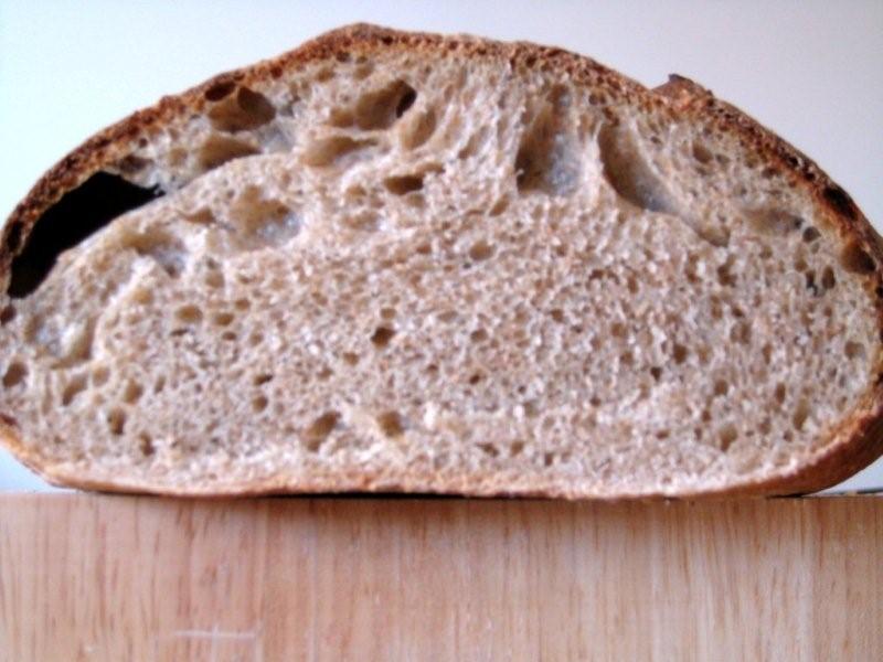 sourdough bread crumb