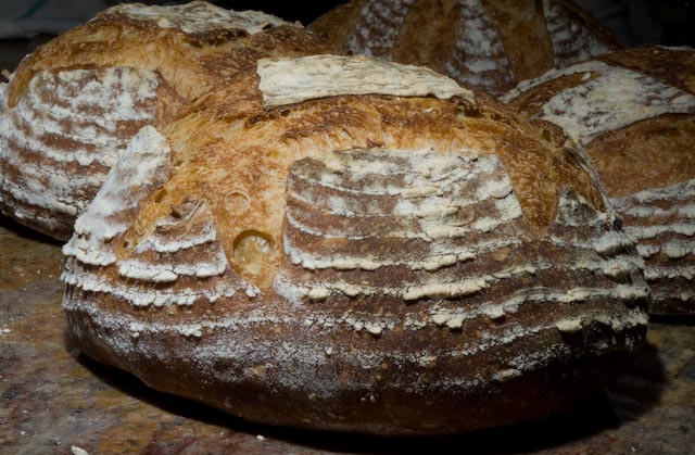 Sourdough Boules (2 of 4).jpg