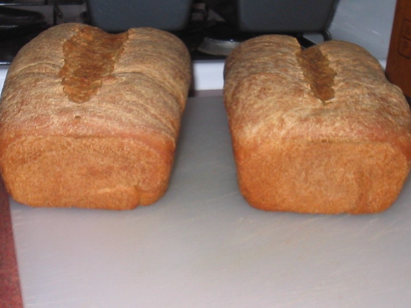 2 Loaves