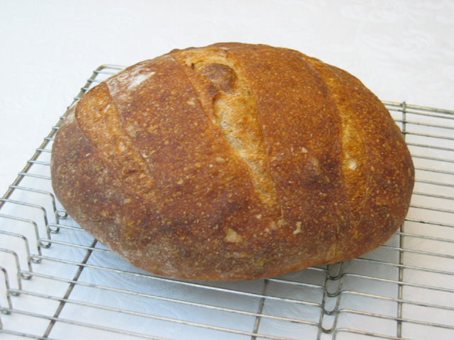 First Sourdough Loaf