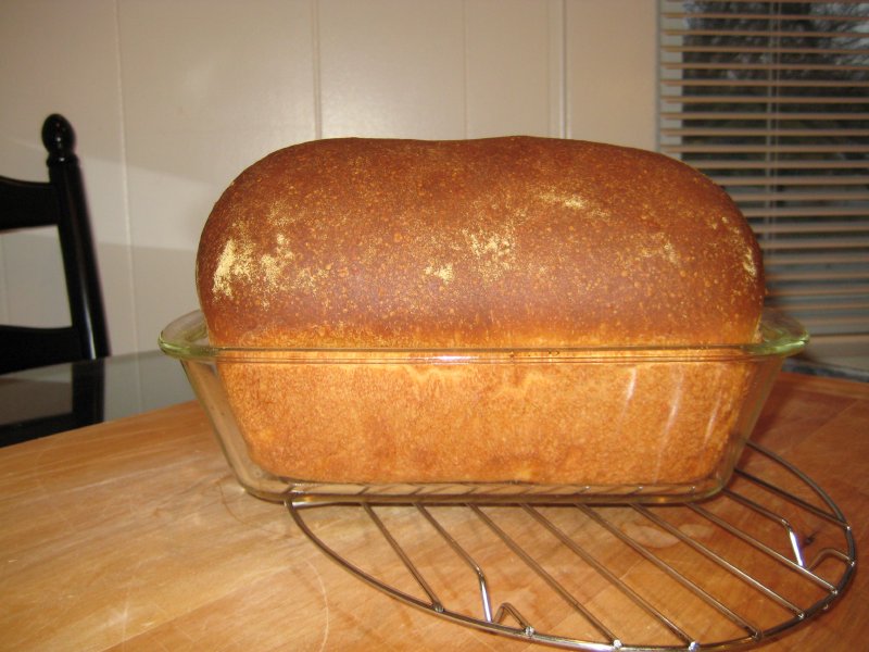 Semolina Sandwich Bread_0.jpg
