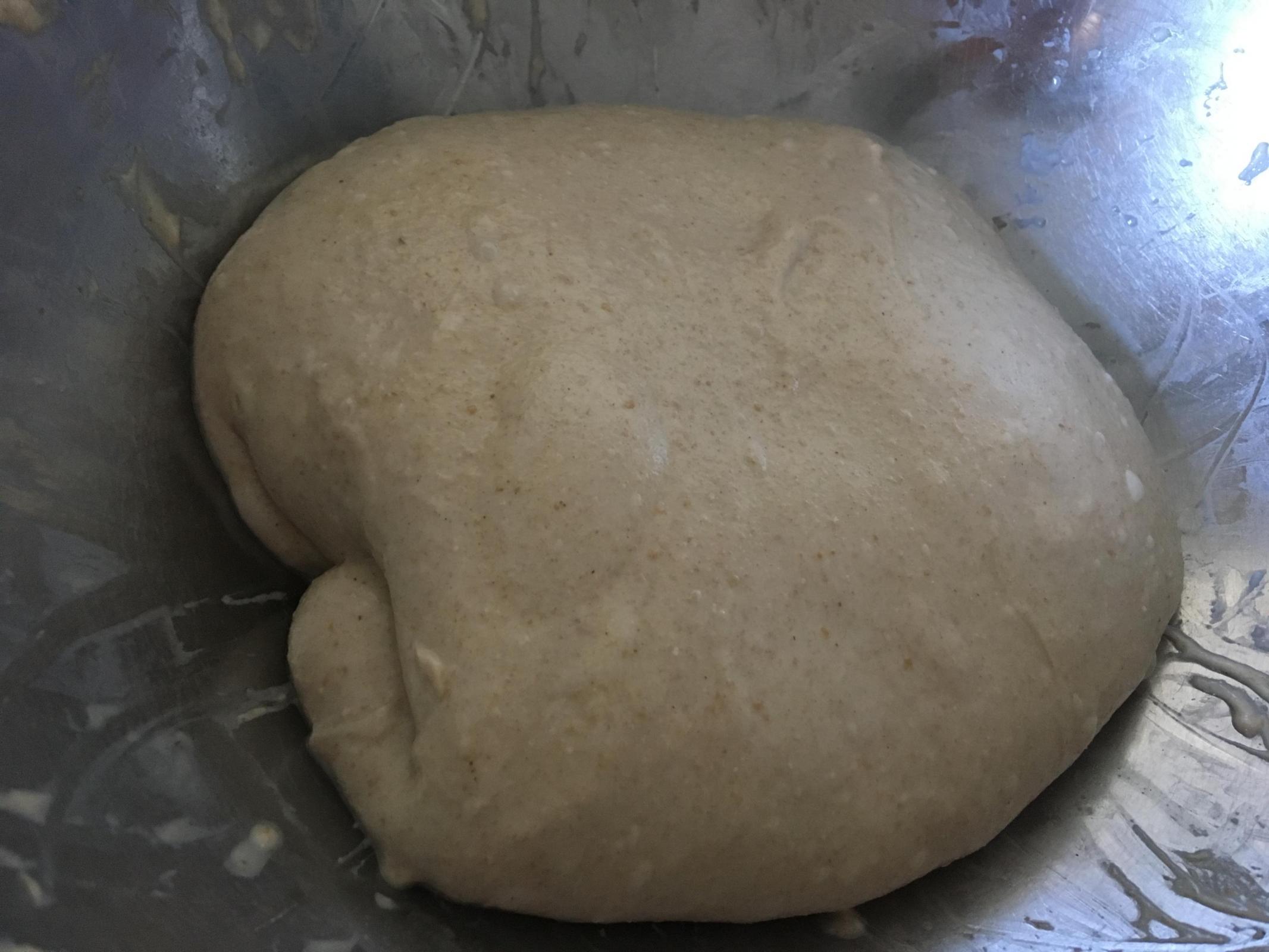 dough after later (coil) fold