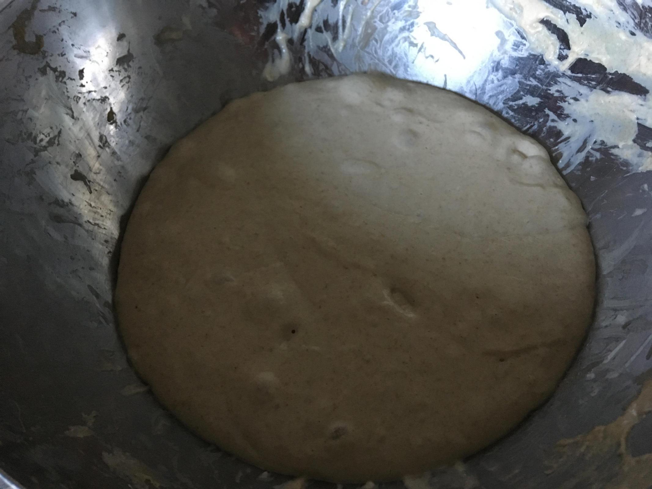 dough at the end of bulk (~6 1/2 hrs)