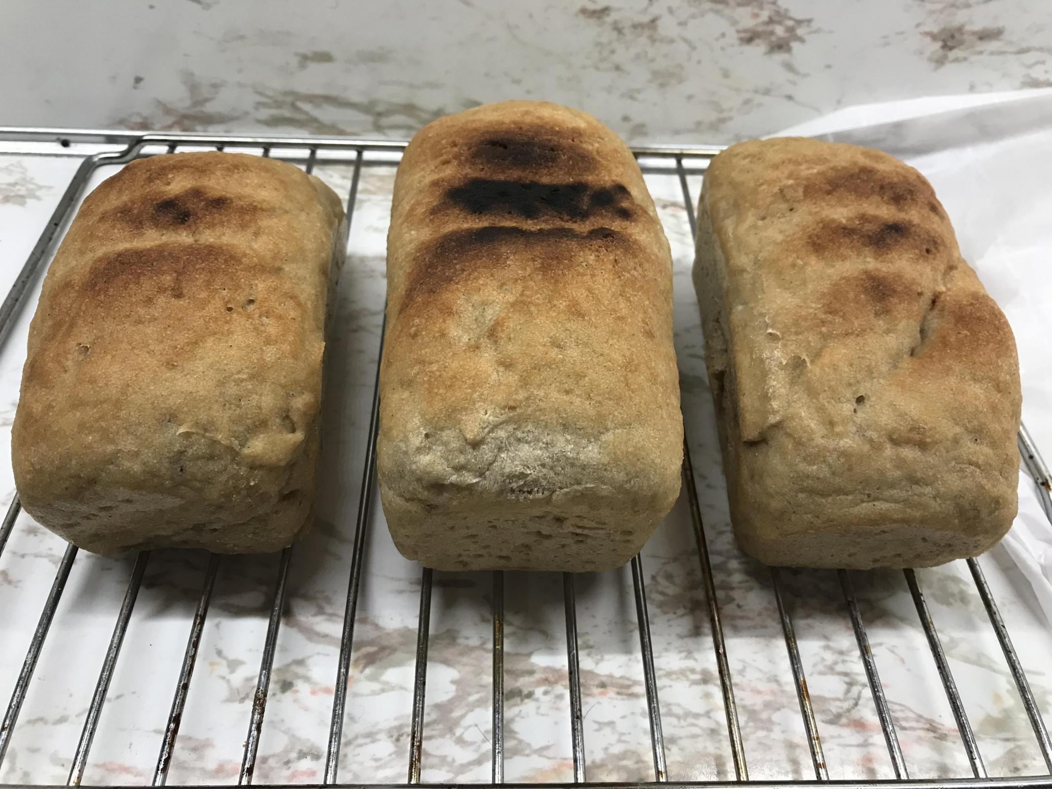 Loaves of bread on cooling rack 
