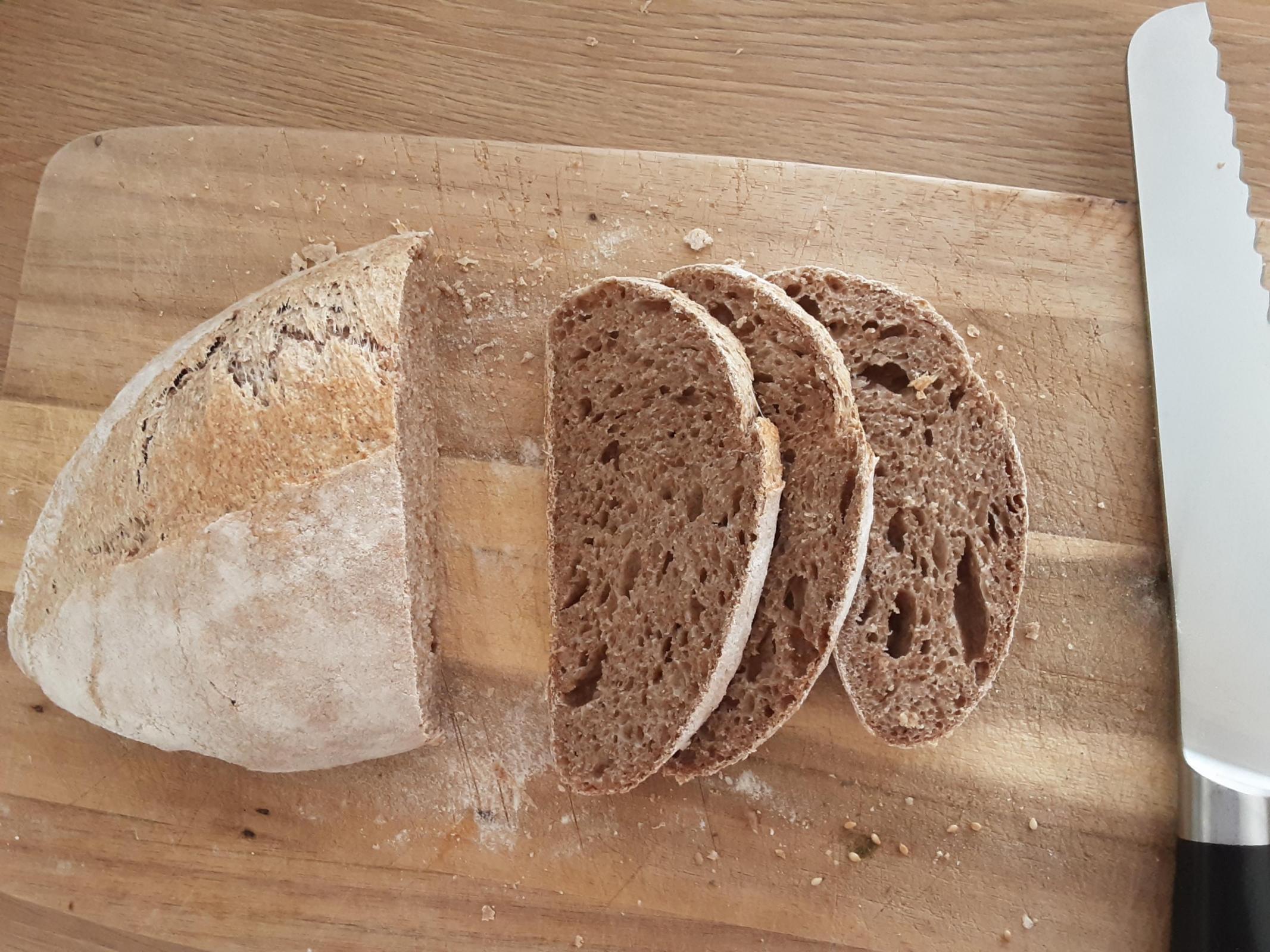 Here you can see what my loafs currently look like. This is 99% whole wheat with sourdough. I was quite happy with the crumb, not with the crust..