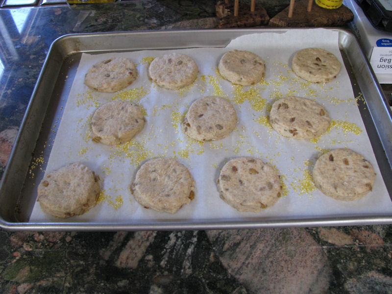 English Muffins on the rise