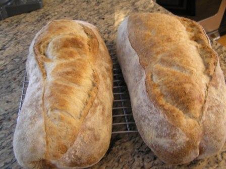 Bread starter recipes