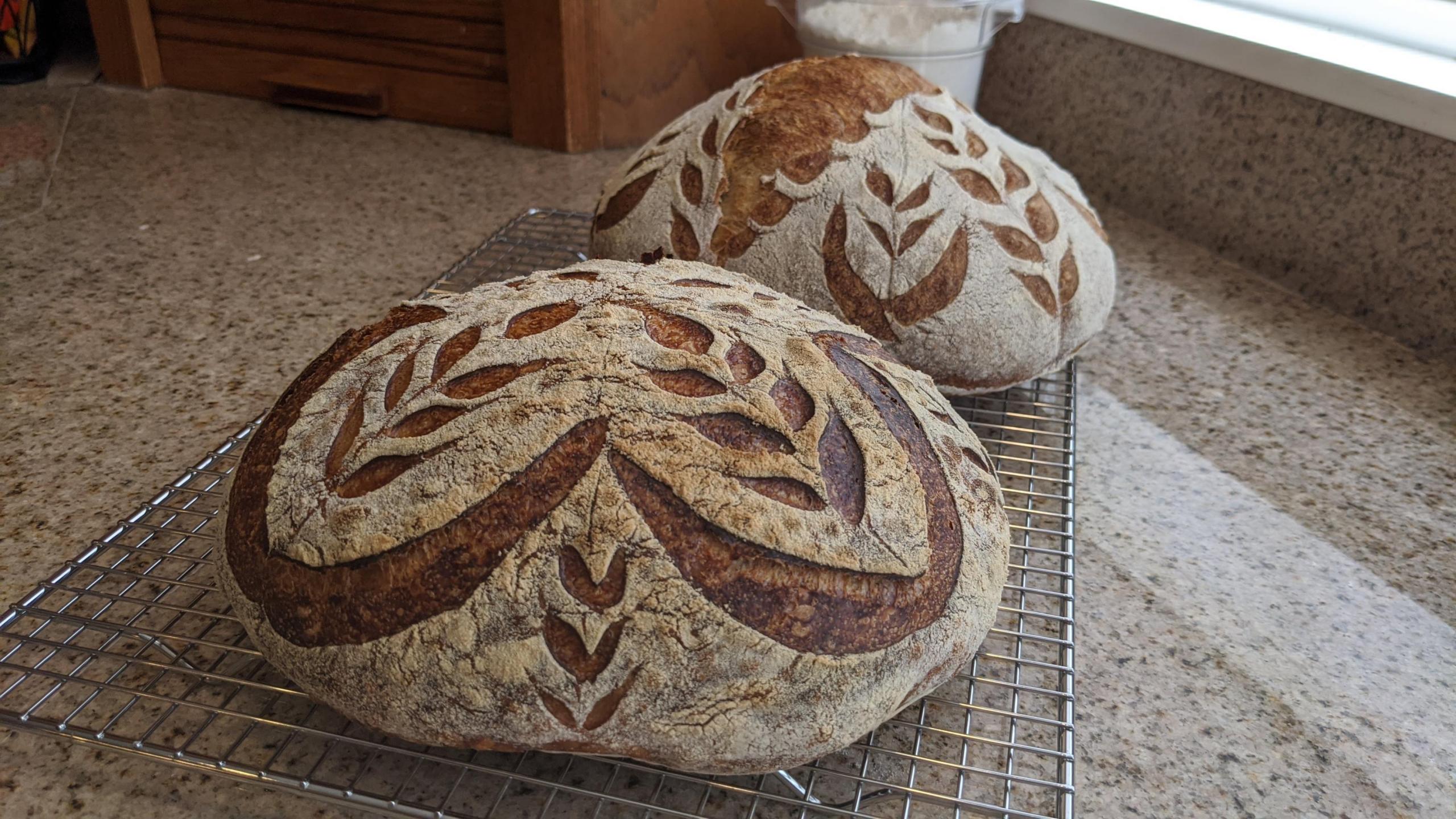 Two loaves of scored sourdough bread