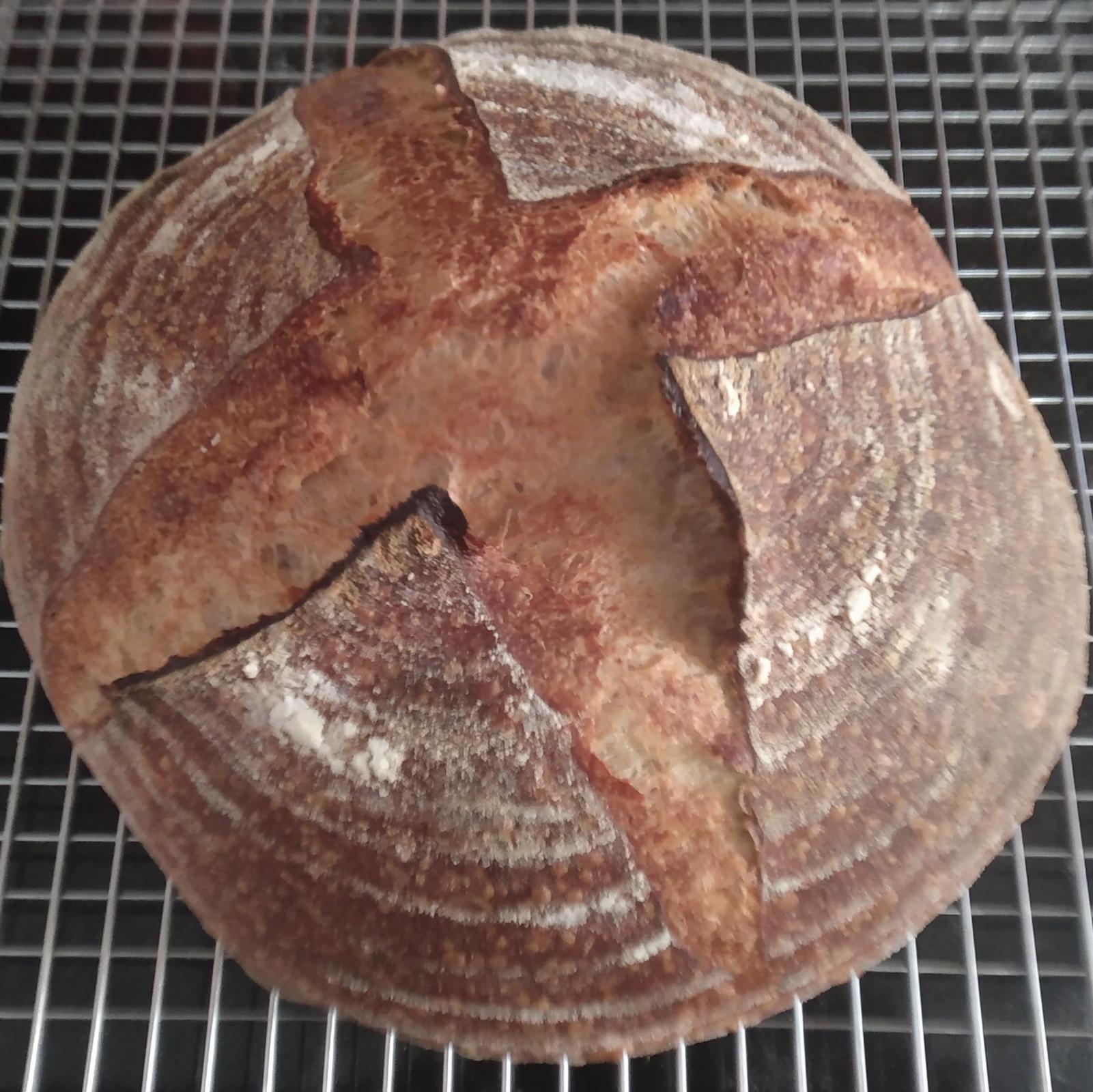 Now this, there's ears on a couple of the intersections where the scores meet, and the loaf is kinda uneven. Poor expansion.