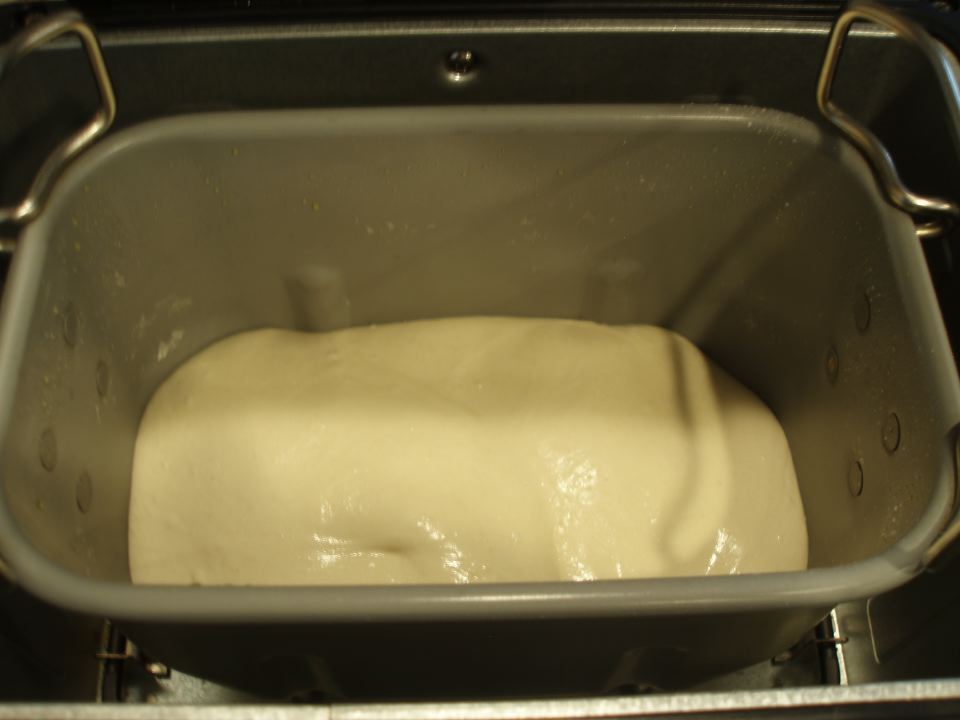 After Kneading before Rise 1