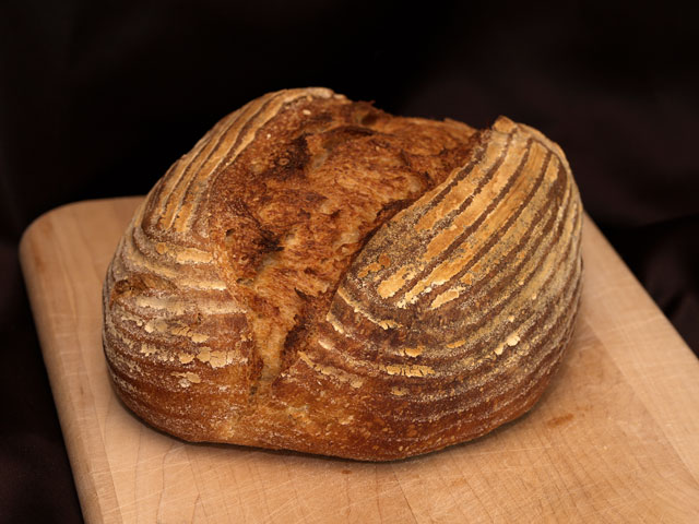 Straight Sourdough Loaf
