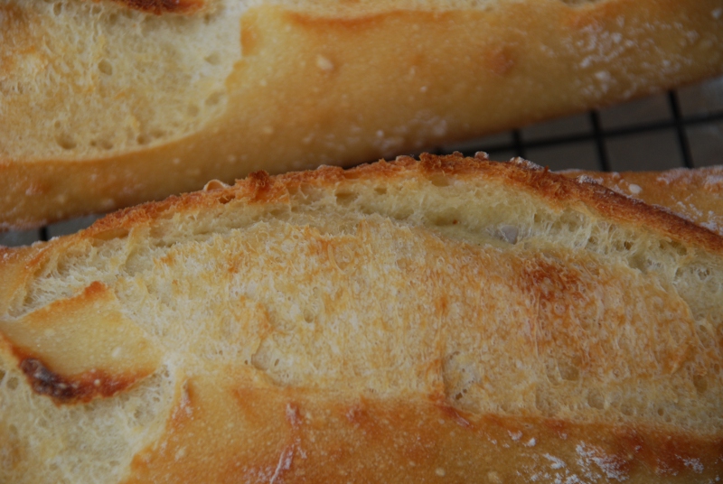 Baguettes, Sesame Semolina, and Tasting | The Fresh Loaf