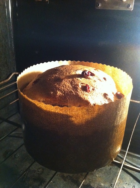 first panettone