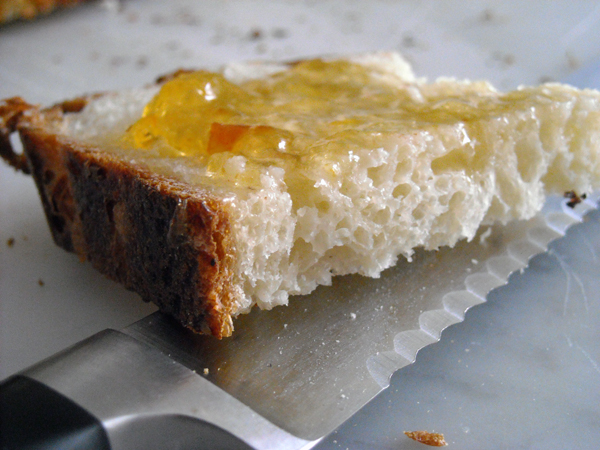 Cold Fermented Pot Bread Slice