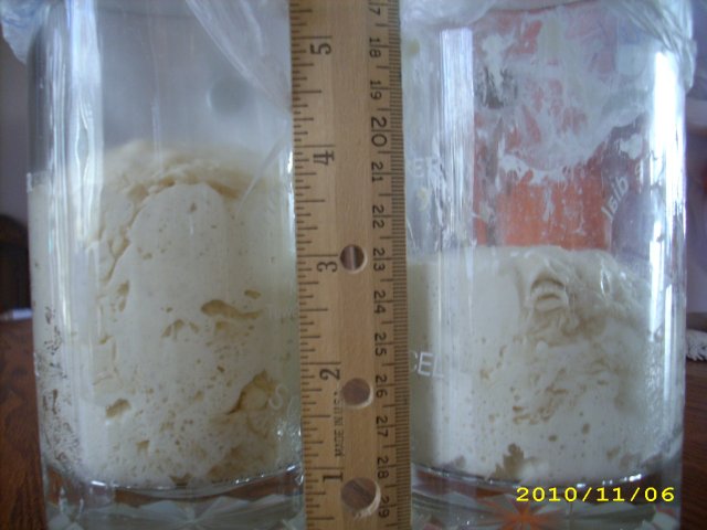 Yeast vs Sourdough after 4 hours