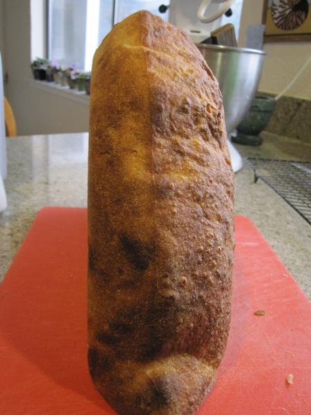 Combo Oven